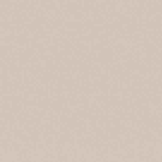 Oyster gray ASP-FM7929 