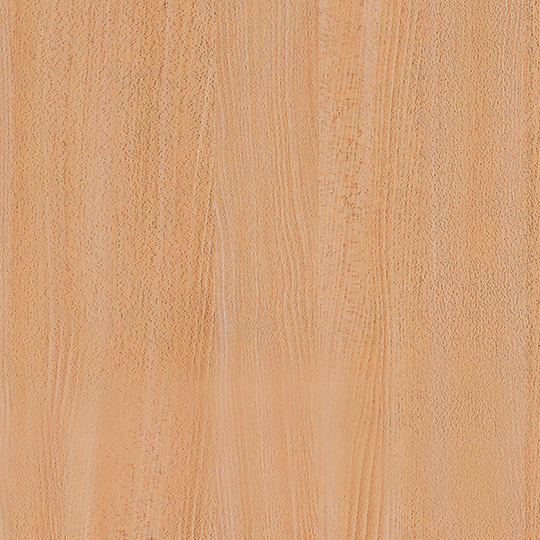 Finn Beech ASP-FM0190