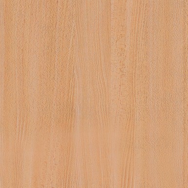 Finn Beech ASP-FM0190